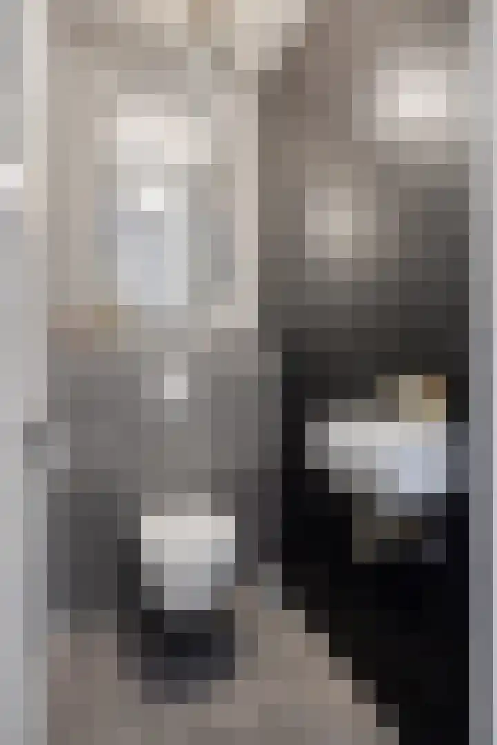 Gitaarstraat 15 Eindhoven thumbnail 9