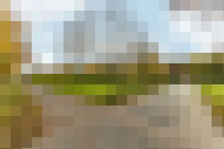 Gitaarstraat 17 Almere thumbnail 31