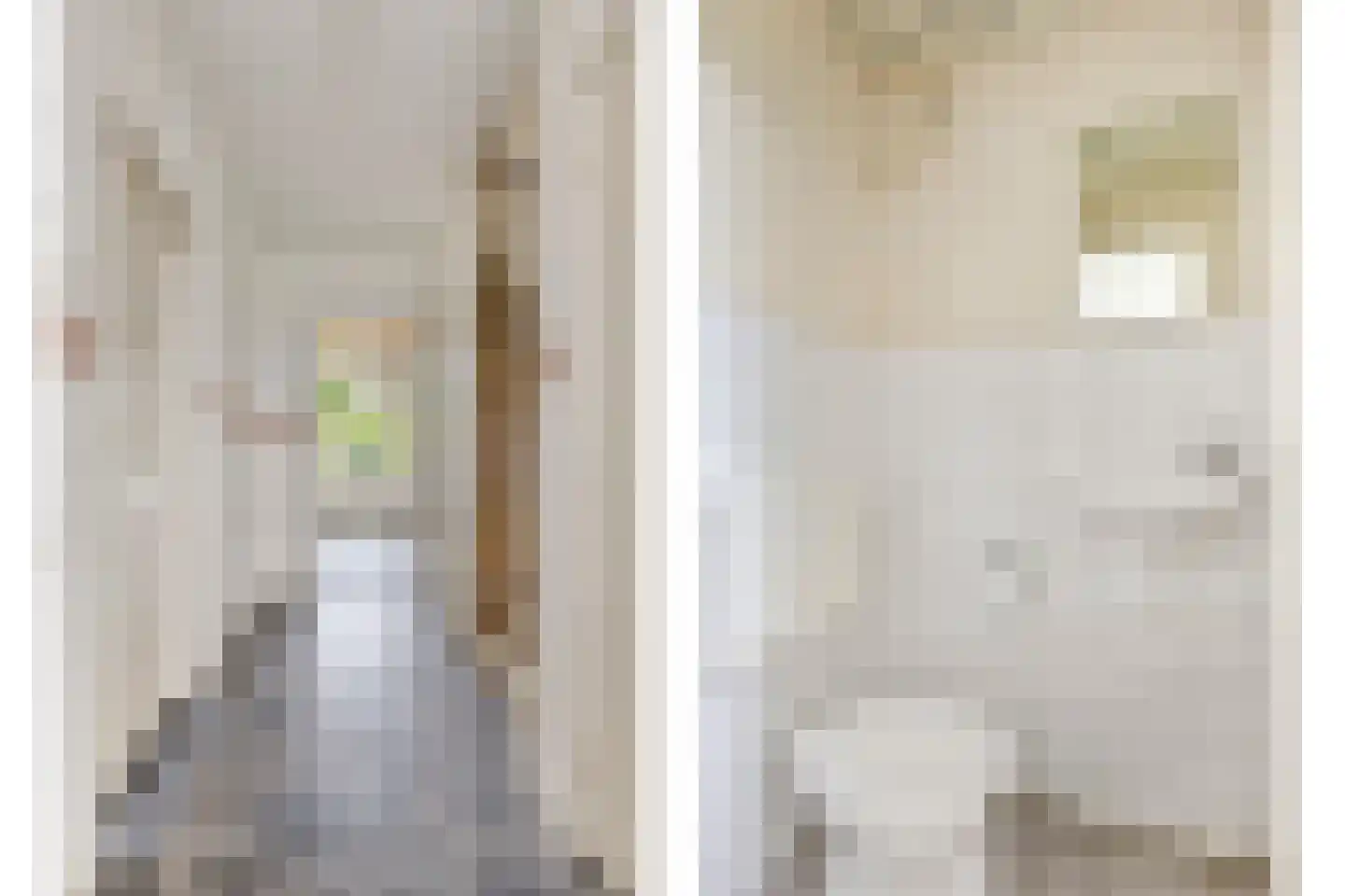 Gitaarstraat 18 Uden thumbnail 10