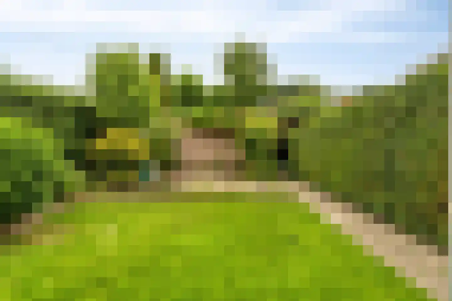 Gitaarstraat 18 Uden thumbnail 26
