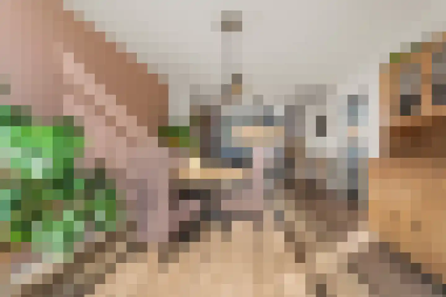 Gitaarstraat 27 Nijmegen thumbnail 13