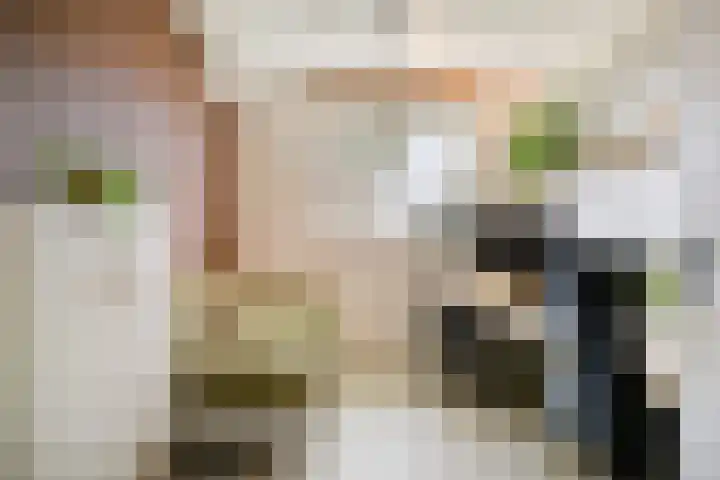 Gitaarstraat 28 Eindhoven thumbnail 22