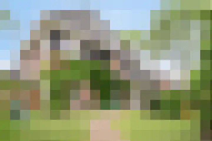 Gitaarstraat 28 Eindhoven thumbnail 32