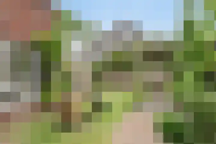 Gitaarstraat 28 Eindhoven thumbnail 33