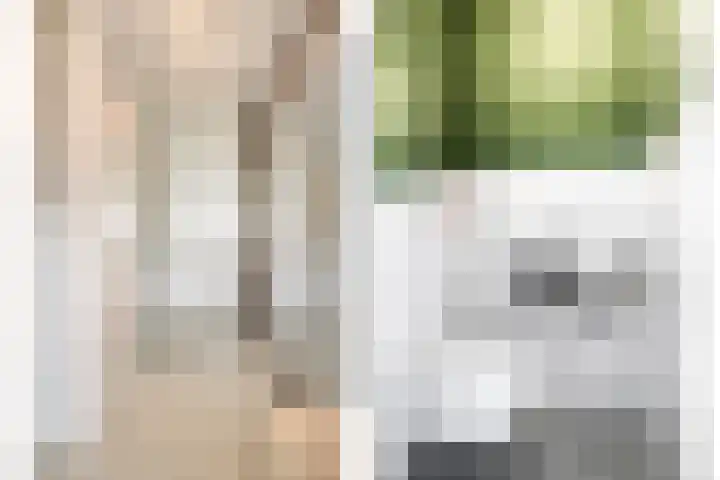 Gitaarstraat 28 Eindhoven thumbnail 6