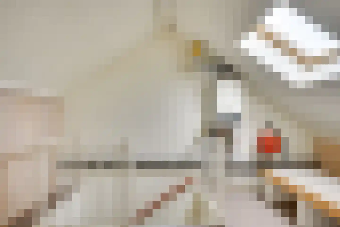 Gitaarstraat 30 Uden thumbnail 17