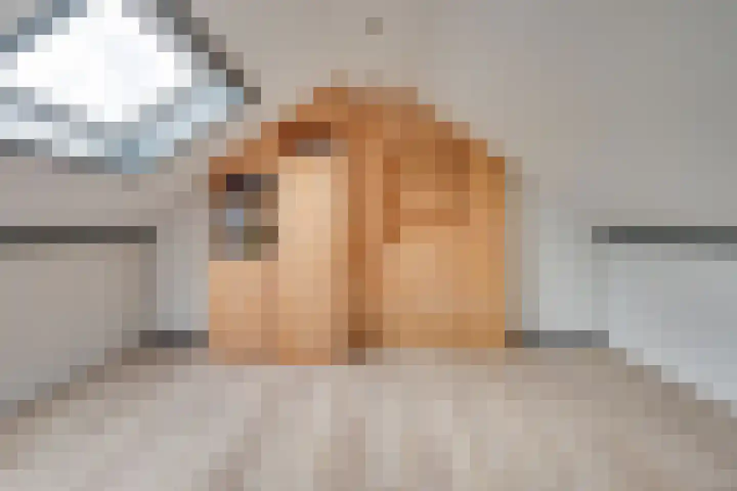 Gitaarstraat 34 Uden thumbnail 21