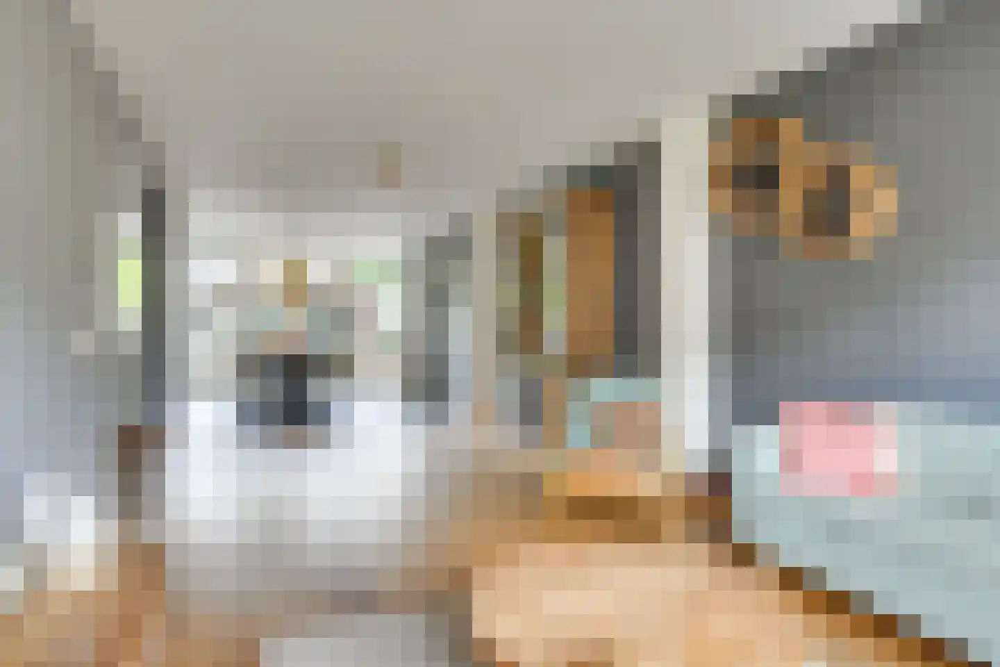 Gitaarstraat 34 Uden thumbnail 6