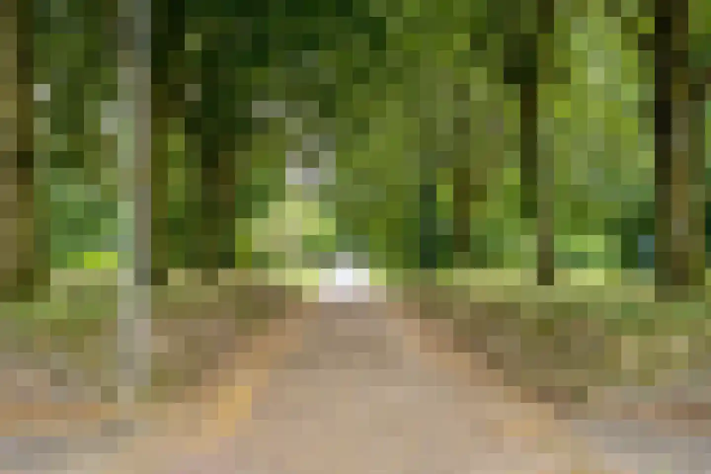 Gitaarstraat 5 Almere thumbnail 33