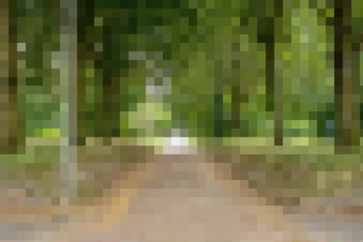 Gitaarstraat 5 Almere thumbnail 34