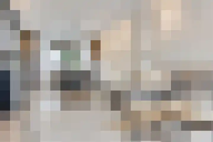 Gitaarstraat 8 Uden thumbnail 12
