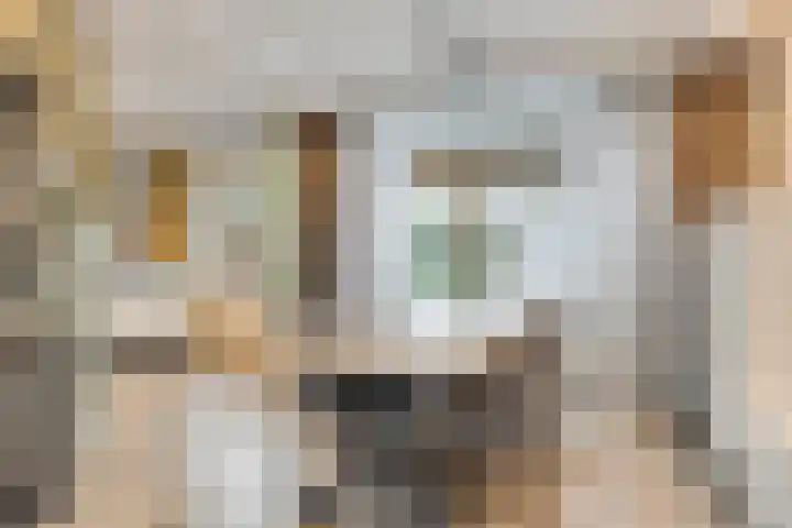 Gitaarstraat 8 Uden thumbnail 14