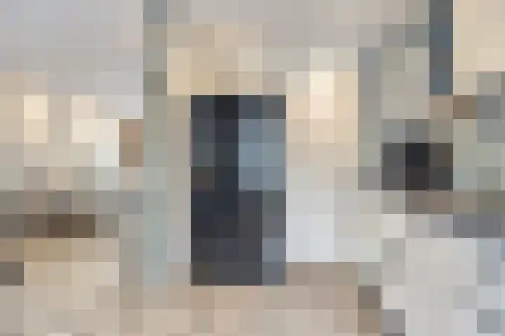 Gitaarstraat 8 Uden thumbnail 18
