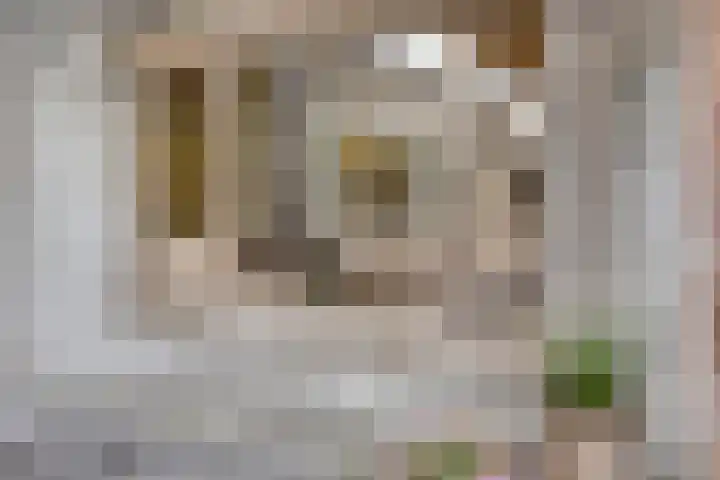 Gitaarstraat 8 Uden thumbnail 41
