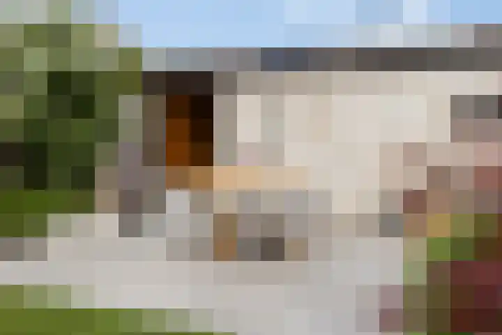 Gitaarstraat 8 Uden thumbnail 47