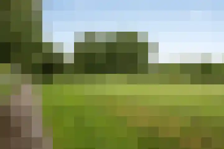 Gitaarstraat 8 Uden thumbnail 50