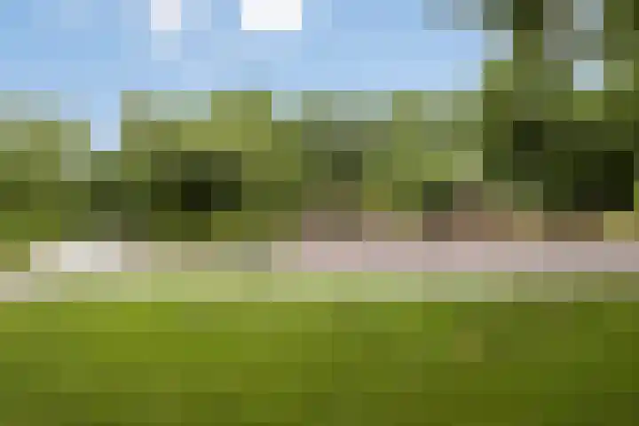 Gitaarstraat 8 Uden thumbnail 51