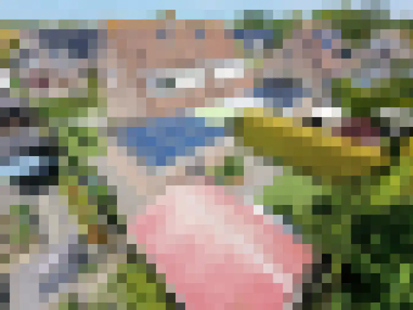 Gjaltema 7 Grou thumbnail 35