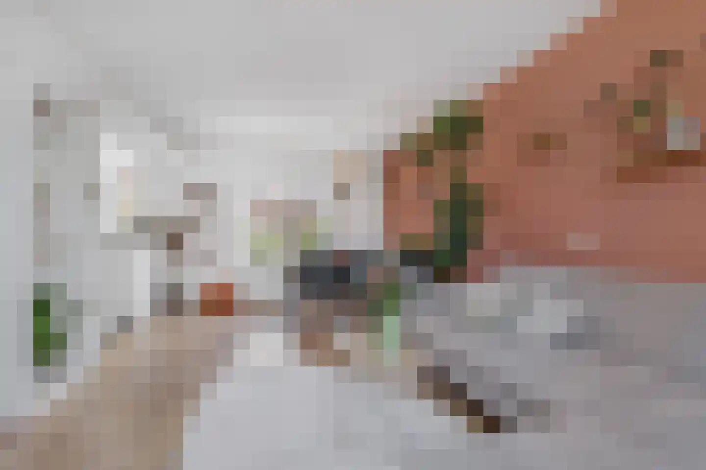 Gjertsenstraat 3 IJmuiden thumbnail 4