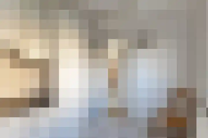 GL Boomsmastrjitte 14 Berltsum thumbnail 14