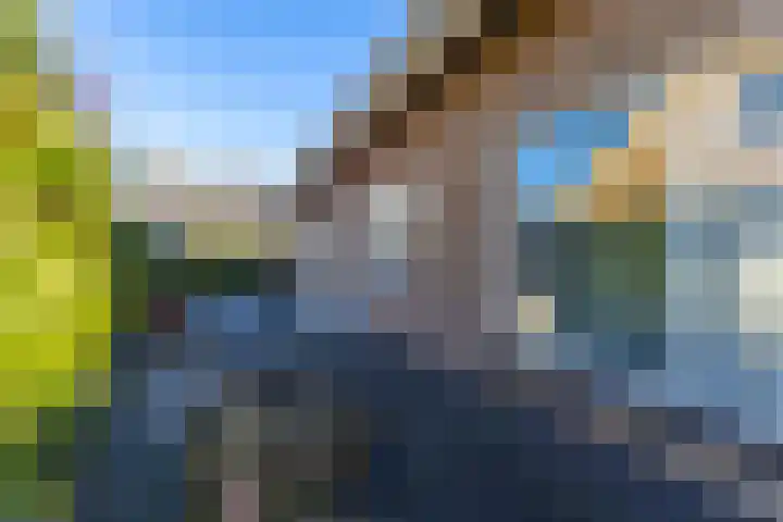 GL Boomsmastrjitte 14 Berltsum thumbnail 34