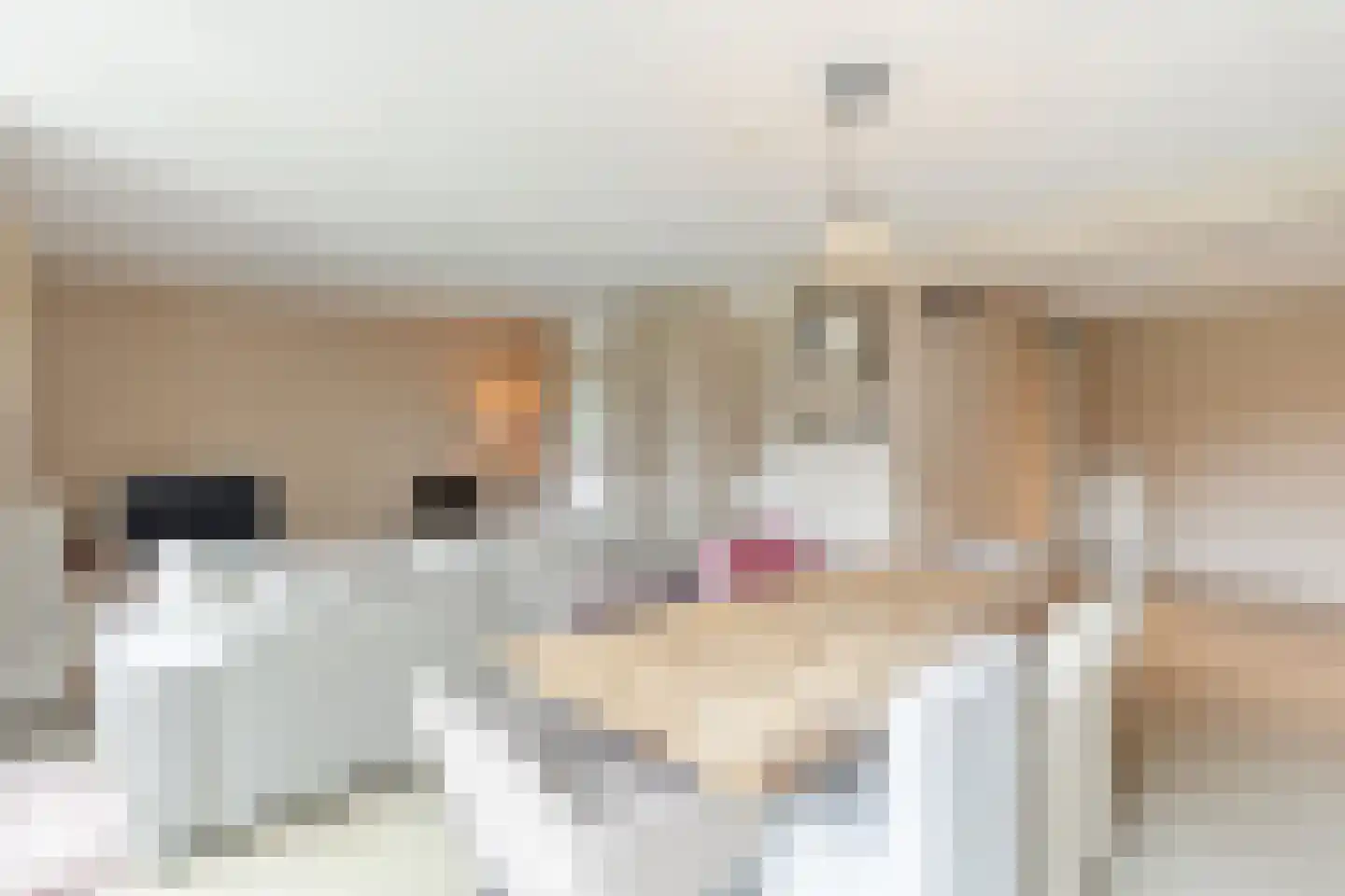 Glacis 12 Vijfhuizen thumbnail 4