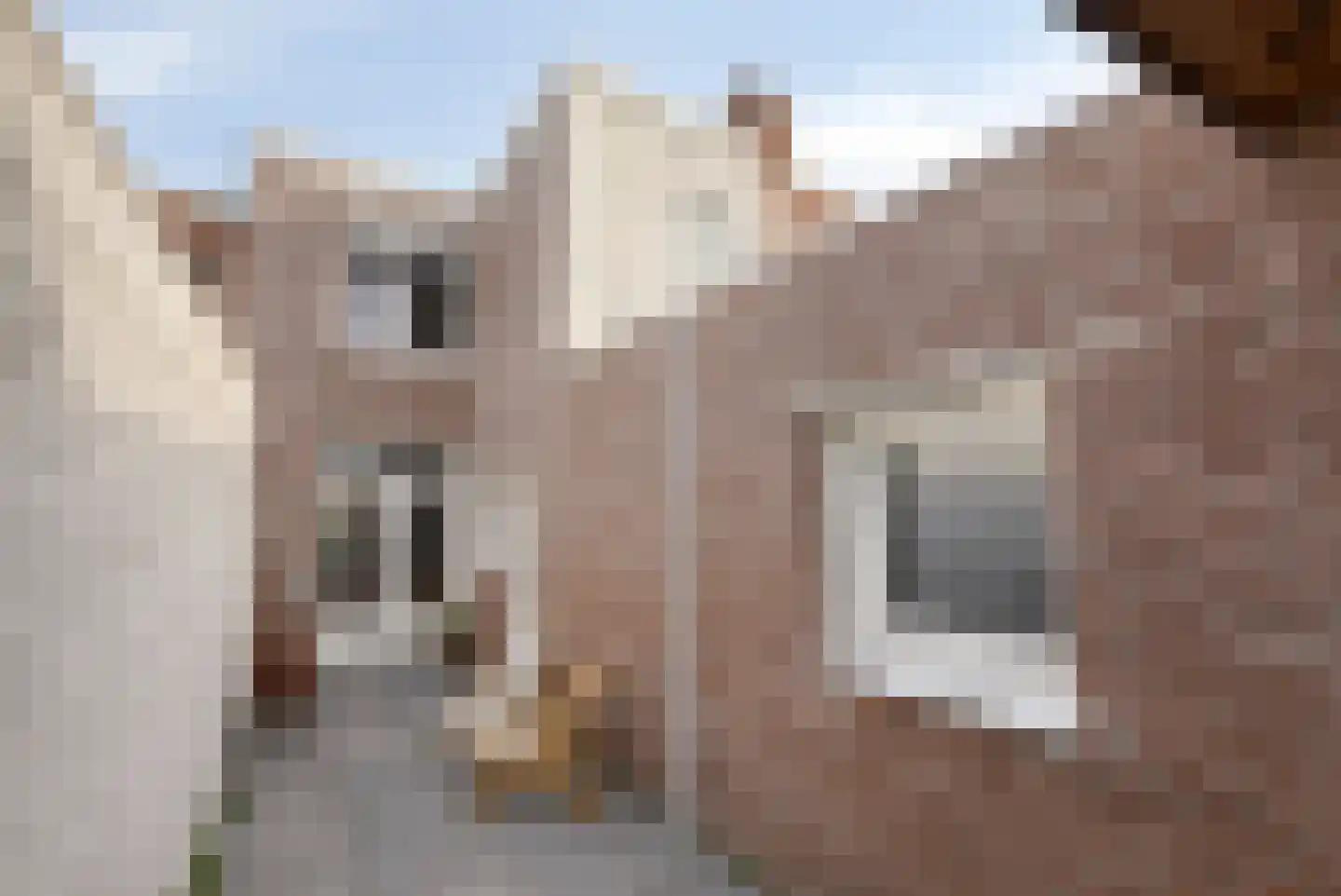 Glacisstraat 1 Bergen op Zoom thumbnail 27