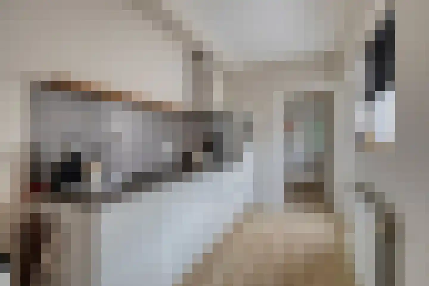 Glacisstraat 1 Bergen op Zoom thumbnail 7