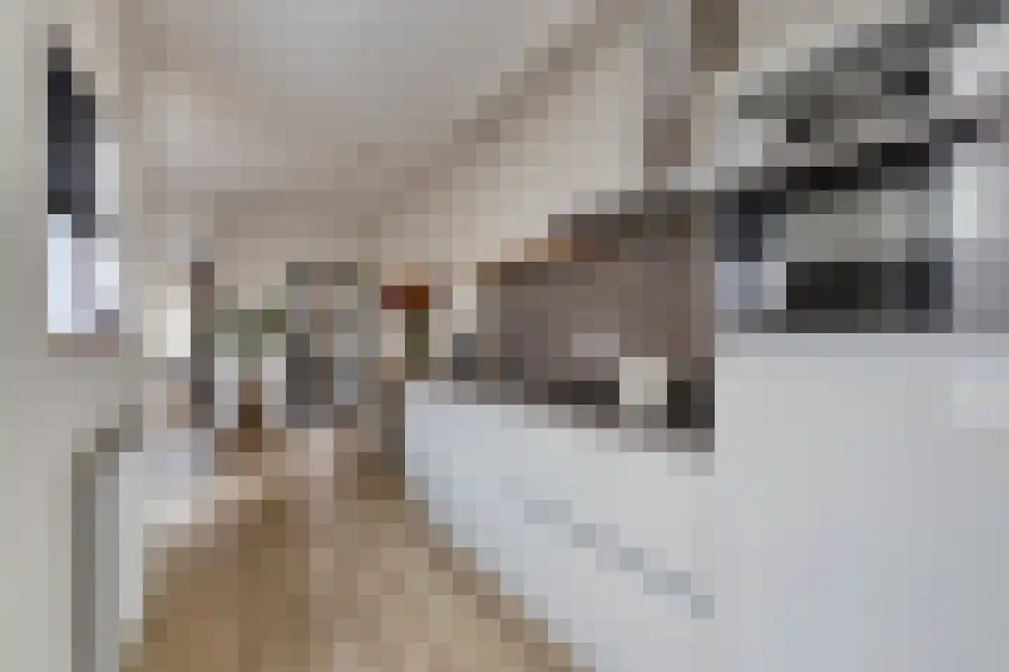 Glacisstraat 1 Bergen op Zoom thumbnail 9