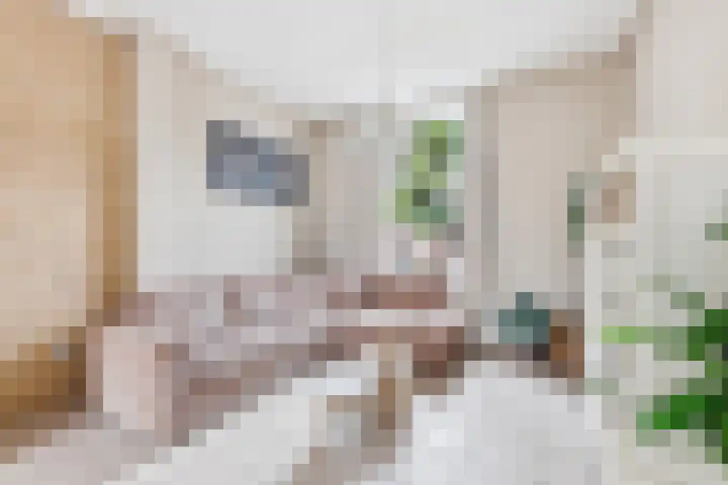 Glacisstraat 101 Vlissingen thumbnail 10