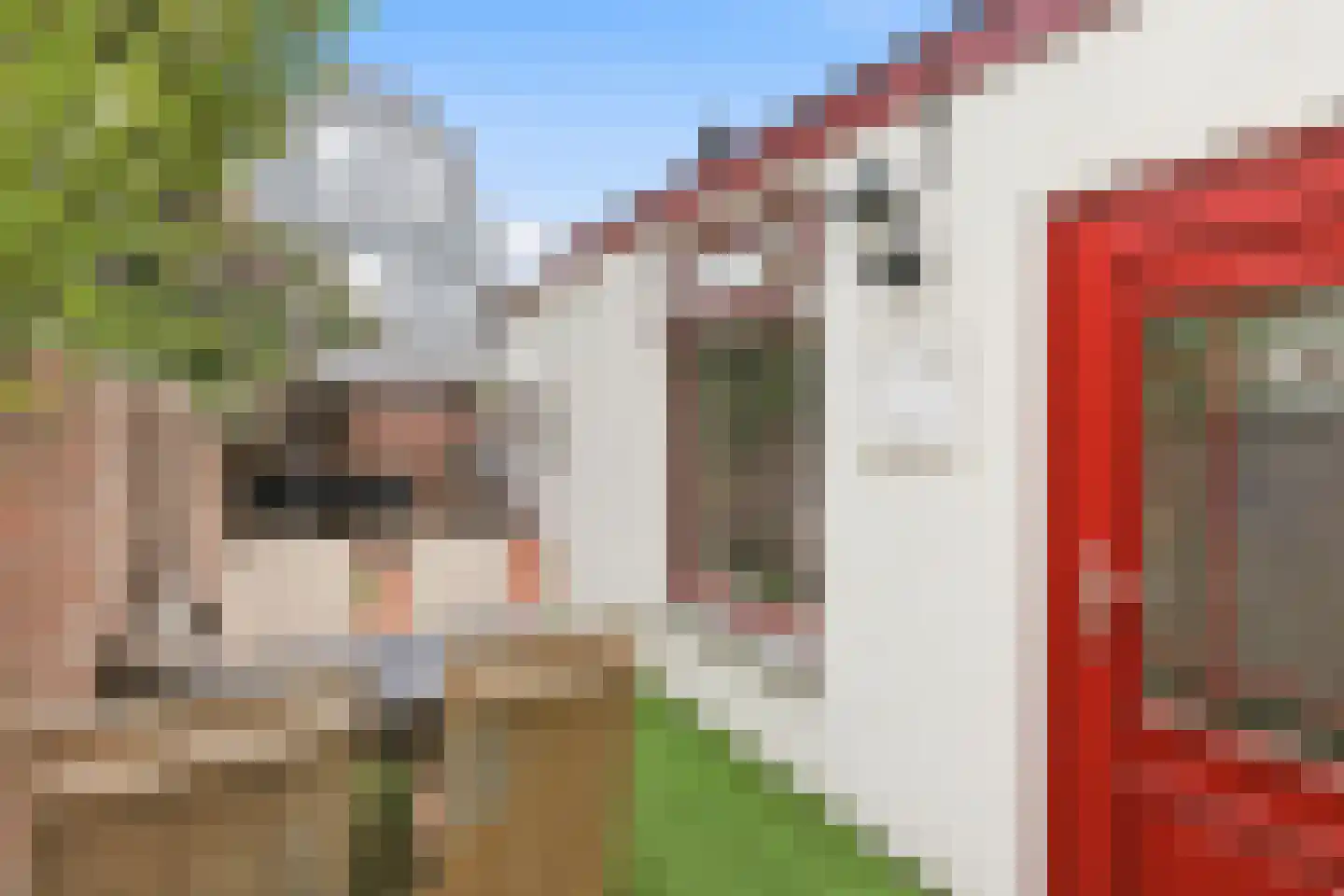 Glacisstraat 101 Vlissingen thumbnail 14
