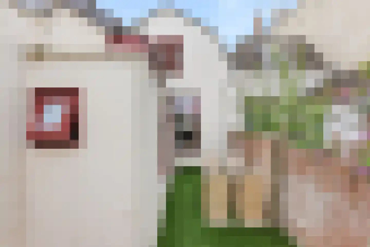 Glacisstraat 101 Vlissingen thumbnail 16