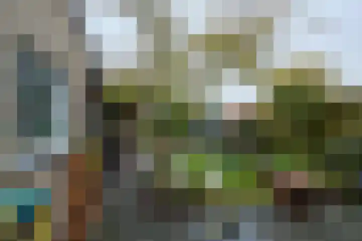 Glacisweg 22 Hulst thumbnail 17