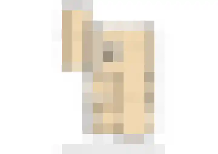 Glacisweg 22 Hulst thumbnail 19
