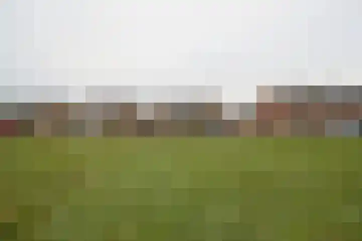 Glacisweg 22 Hulst thumbnail 4
