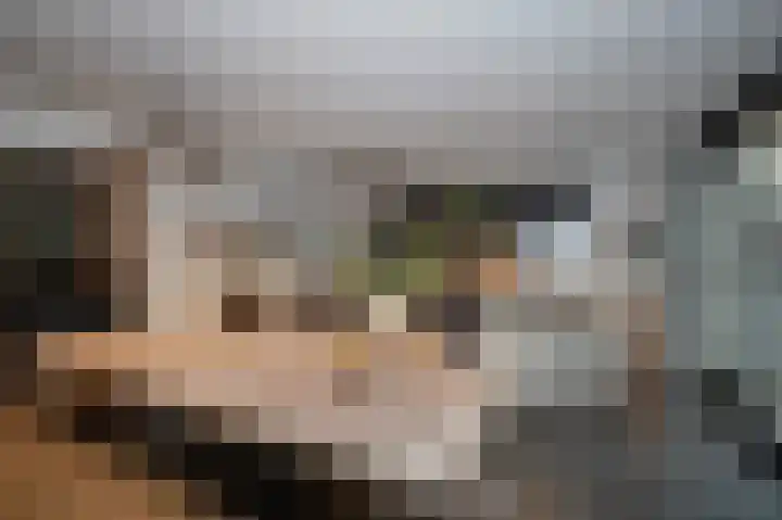 Glacisweg 22 Hulst thumbnail 7
