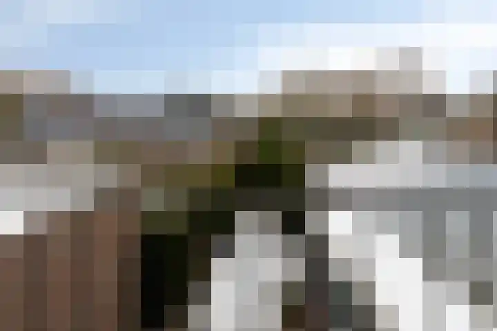 Glacisweg 32 Hulst thumbnail 21
