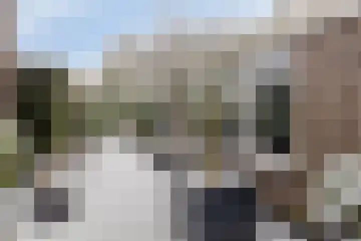Glacisweg 32 Hulst thumbnail 29