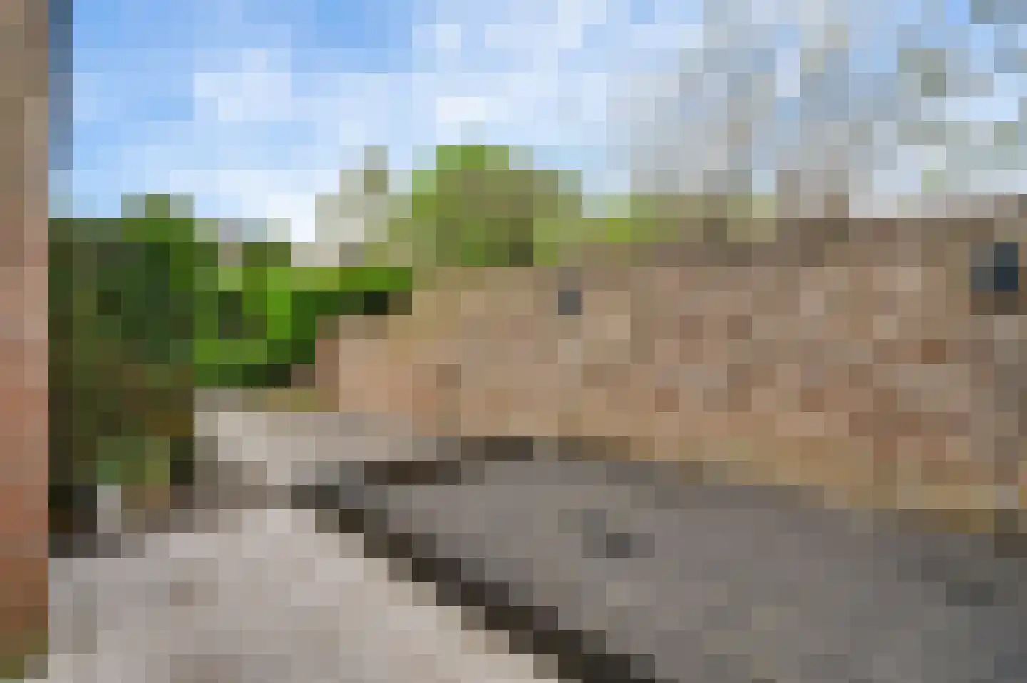 Glacisweg 4 Maastricht thumbnail 23