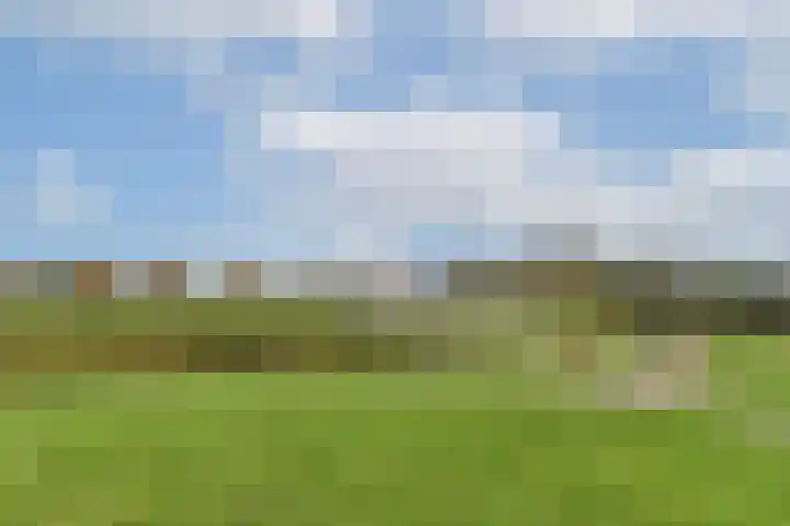 Glacisweg 47 Hellevoetsluis thumbnail 31