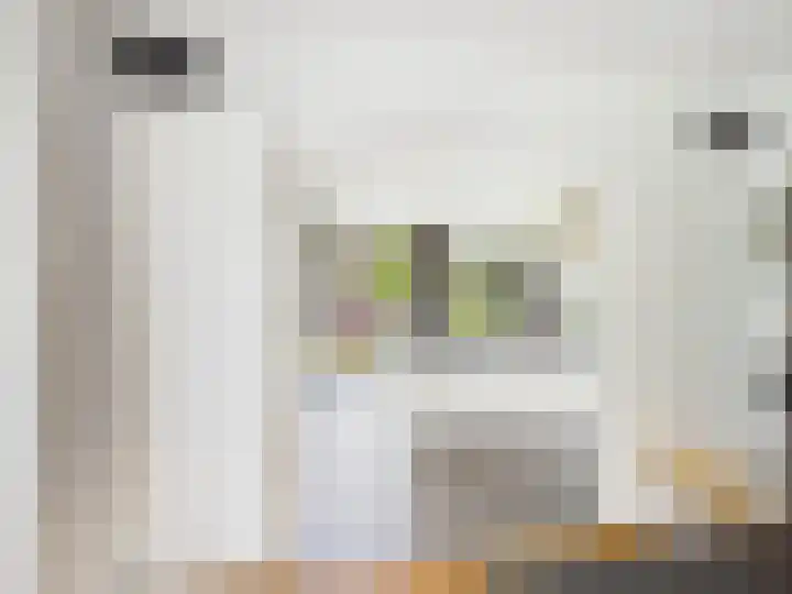 Glacisweg 48 Hulst thumbnail 15