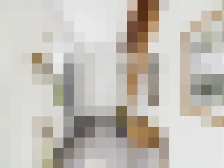 Glacisweg 48 Hulst thumbnail 35