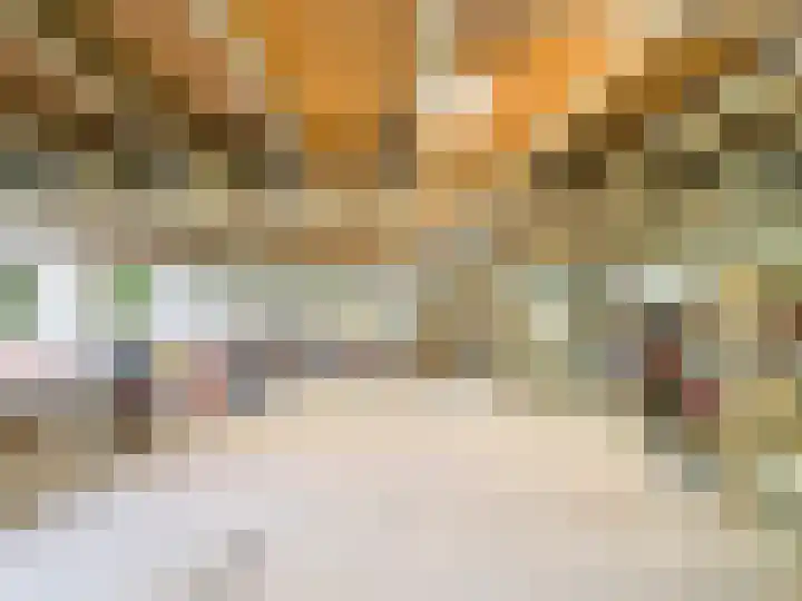 Glacisweg 48 Hulst thumbnail 49