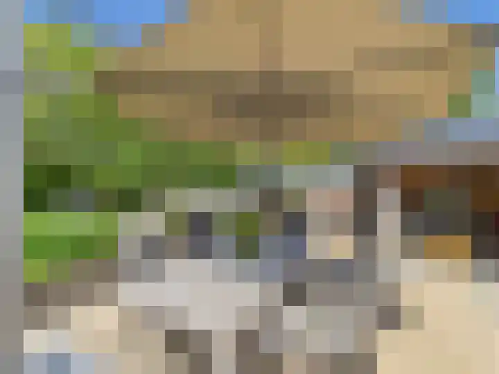 Glacisweg 48 Hulst thumbnail 56