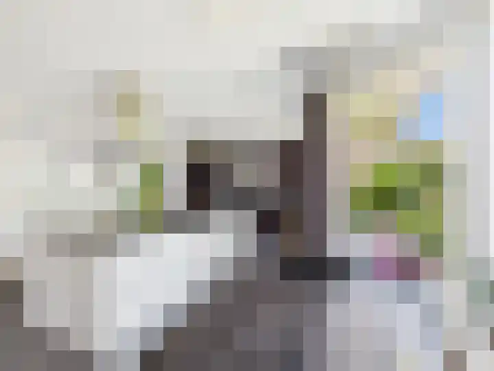Glacisweg 48 Hulst thumbnail 7