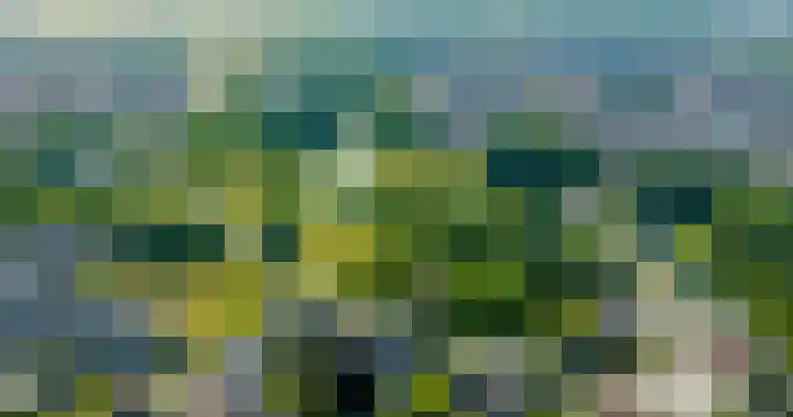 Glacisweg 48 Hulst thumbnail 71