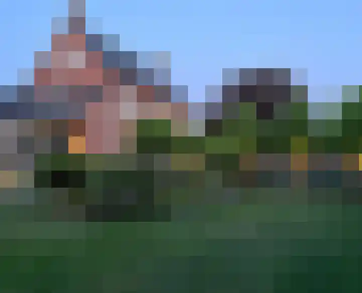 Glacisweg 48 Hulst thumbnail 76