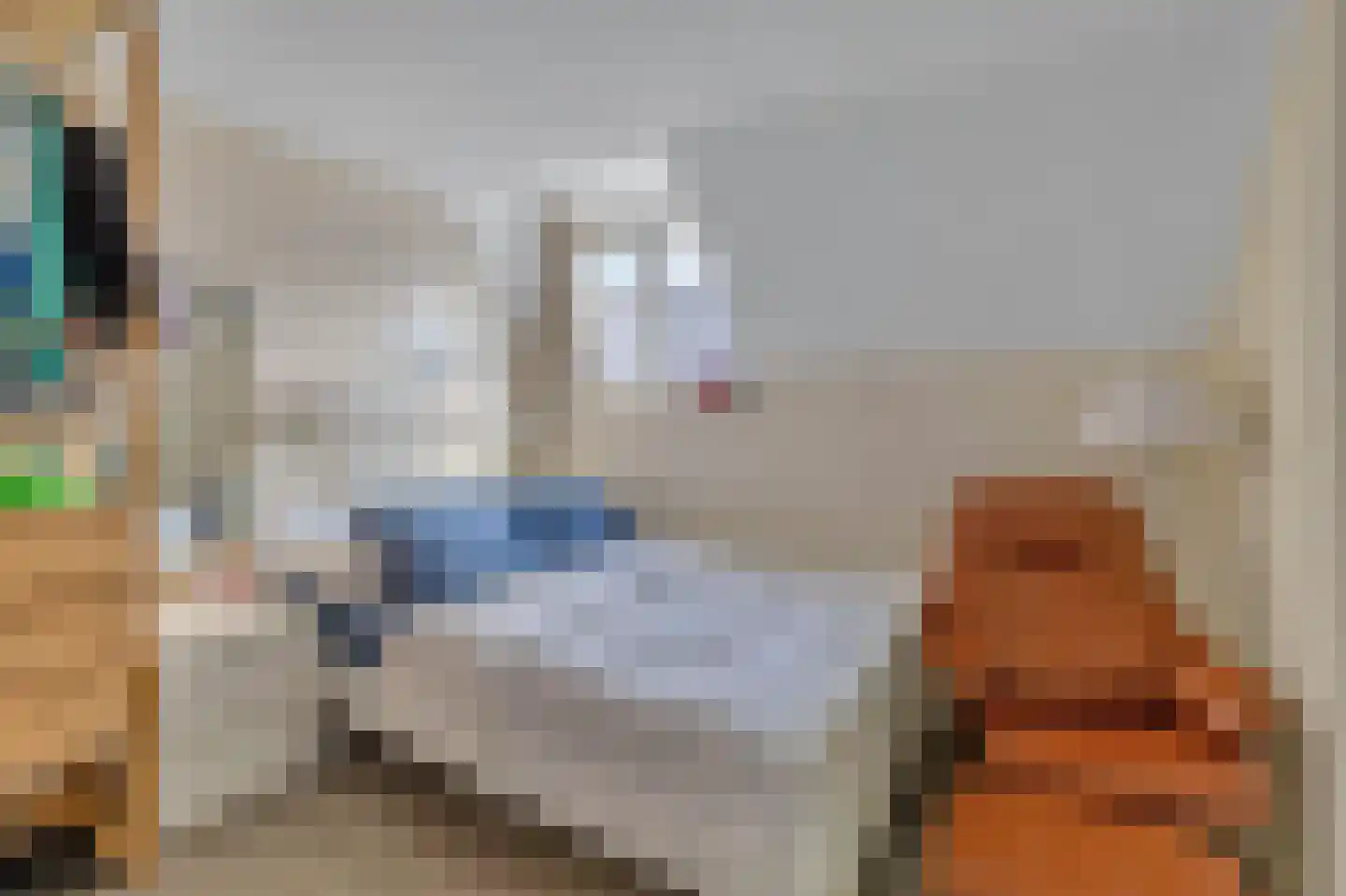 Glacisweg 6 Maastricht thumbnail 19