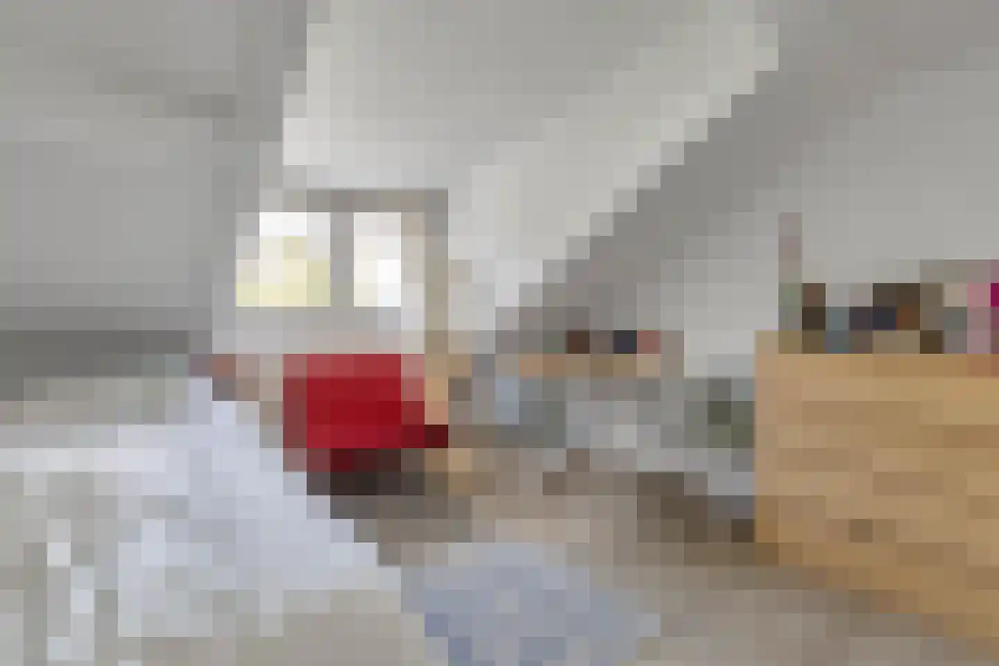 Glacisweg 6 Maastricht thumbnail 22