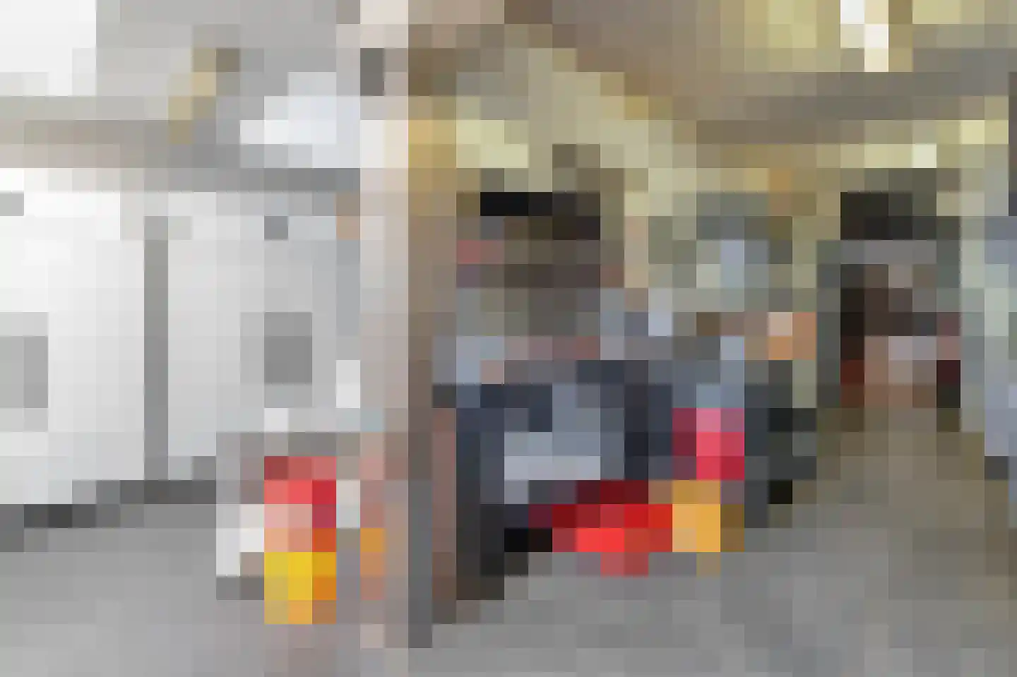 Glacisweg 6 Maastricht thumbnail 38